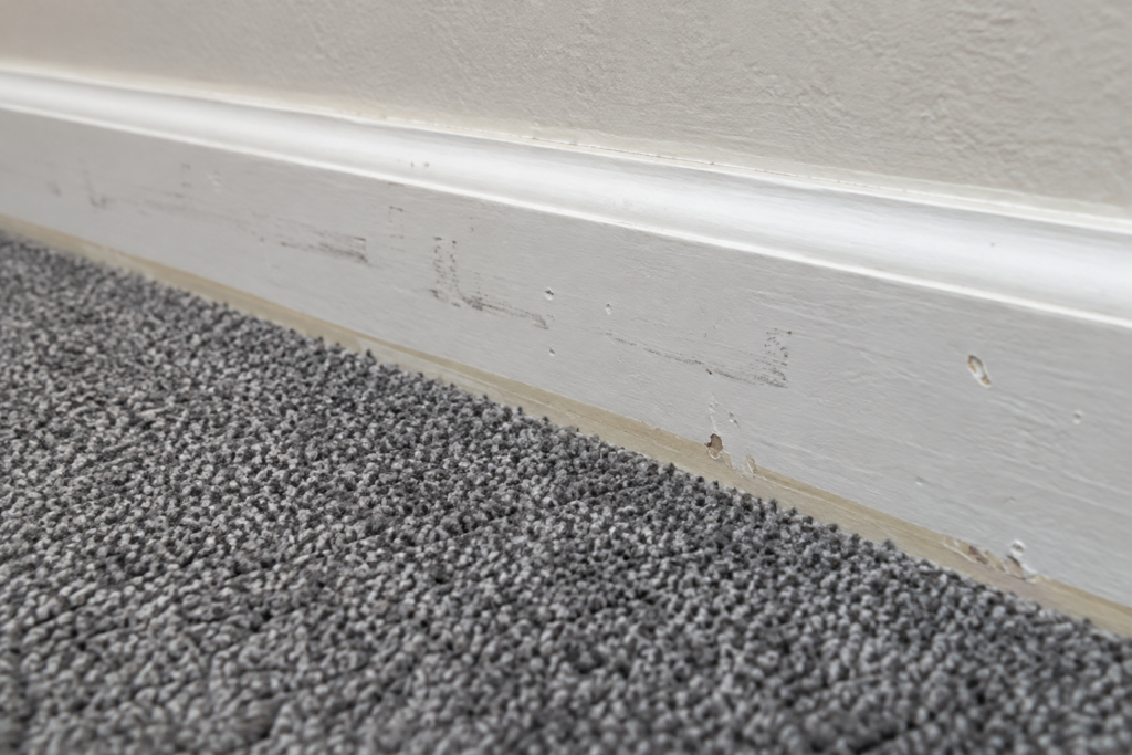 Scuffed baseboard paint above new corridor carpet