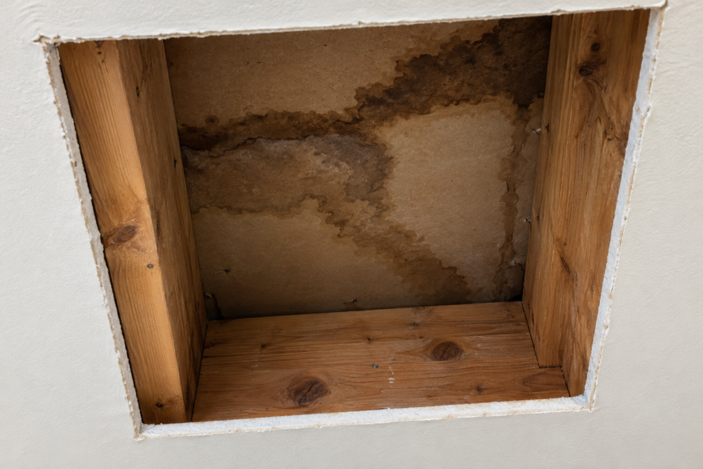 Cut-out drywall ceiling showing water-stained framing inside